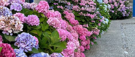 DĂ©tail de lâextĂ©rieur