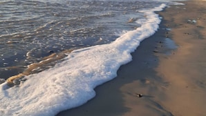 A sandy beach with gentle waves lapping at the shore. - Chic and authentic bourgeois house by the sea, ideal for surfing, beaches and hiking. (Tréguennec)