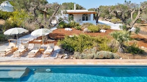 Un espace aménagé au bord de la piscine, avec des chaises longues et des parasols, un petit bâtiment et une végétation luxuriante tout autour.