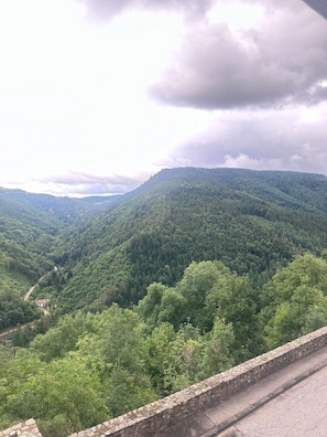 Vista desde la propiedad