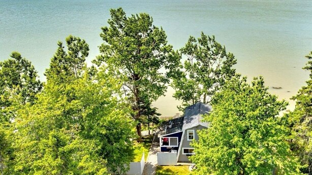 A lakeside cabin surrounded by dense trees, with a view of the lake and distant land.