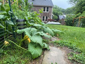 Property grounds - 2-bedroom apartment: lush outdoor space, pollinator and veggie gardens (Pittsburgh)