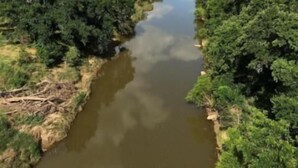 A river flanked by dense green foliage under a clear sky. - Burnham's Lodging (San Saba)