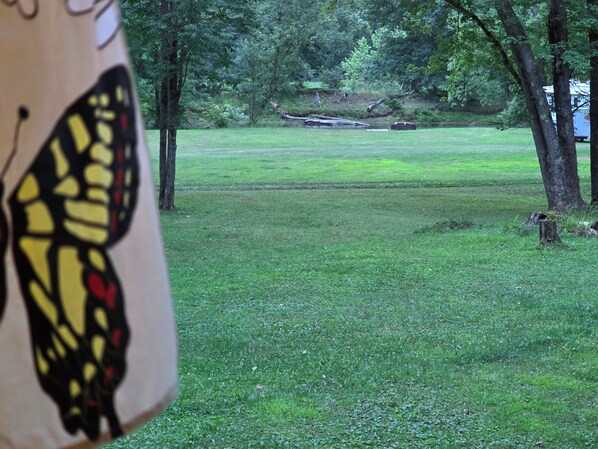 A grassy area with trees and a small body of water.