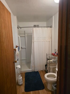 Shower, towels, soap, toilet paper