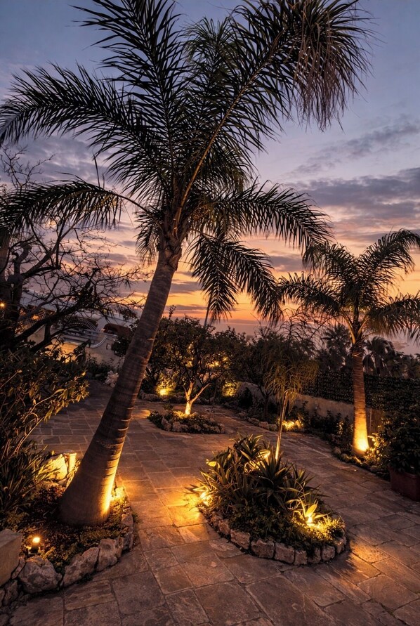 Terrain de l’hébergement 
