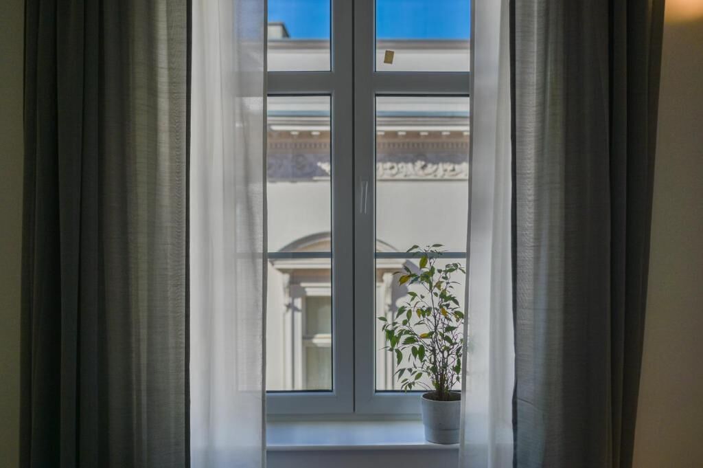 Une fenêtre donnant sur un immeuble, avec un pot de fleurs posé sur le rebord.