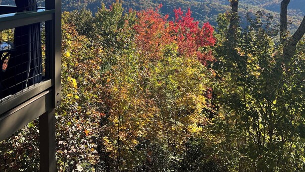 A view from a balcony with a mountain range in the background and autumn foliage. - Hidden Gem in the Smokies - Awenasa (Franklin)