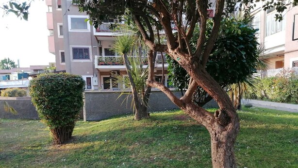 Zona residenziale con prato curato, un grande albero e un edificio a più piani sullo sfondo.