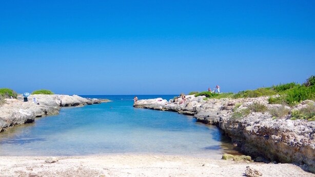 A coastal landscape with clear water, rocky terrain, and greenery. - Ostuni Green Hills Apt. 1 – Charming Home with Panoramic View & Shared Jacuzzi (Puglia)