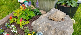 Cozy furnished rooms for rent. Kitchener, Ontario. Nightly, Weekly, Monthly $50