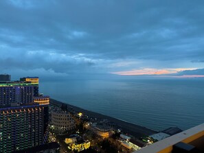 コンフォート アパートメント バルコニー シービュー | 施設からの眺望