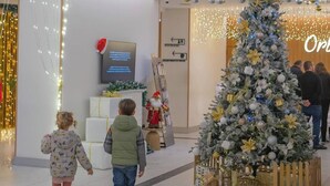 Uklassifisert bilde, 4 av 17, knapp