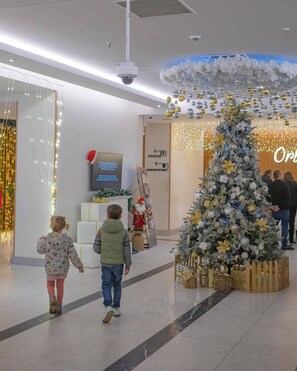 コンフォート アパートメント バルコニー シービュー | ロビー