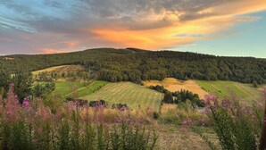 Une vue panoramique d’un paysage vallonné, avec des champs et des forêts.