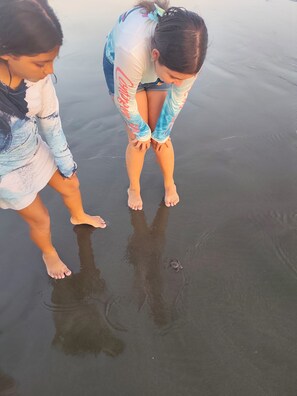 Deux personnes se tiennent sur une surface mouillée, peut-être une plage, et on peut apercevoir une tortue au premier plan.