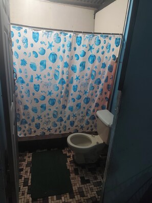 Regadera, toallas, papel de baño 