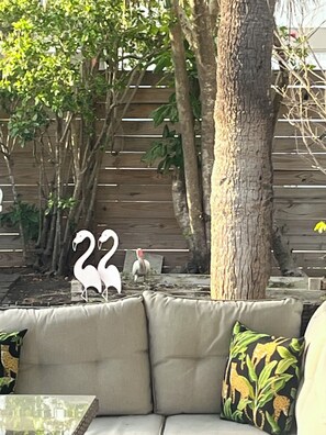 Property grounds - "Oasis" Historic Beachside Cottage 3/2 – Steps to Sand! (Indian Rocks Beach)