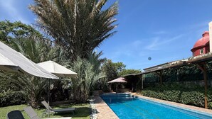 A swimming pool with lounge chairs and umbrellas, surrounded by palm trees and greenery. - Beautiful apartment with a private Jacuzzi (Jal.)