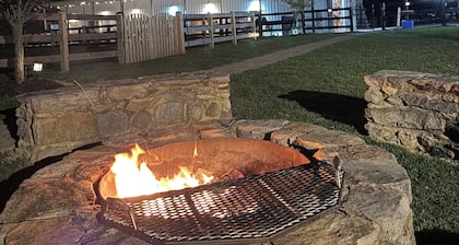 Hattingh Equine Rescue Launches Farm Cottage Stay to Support Rescued Horses