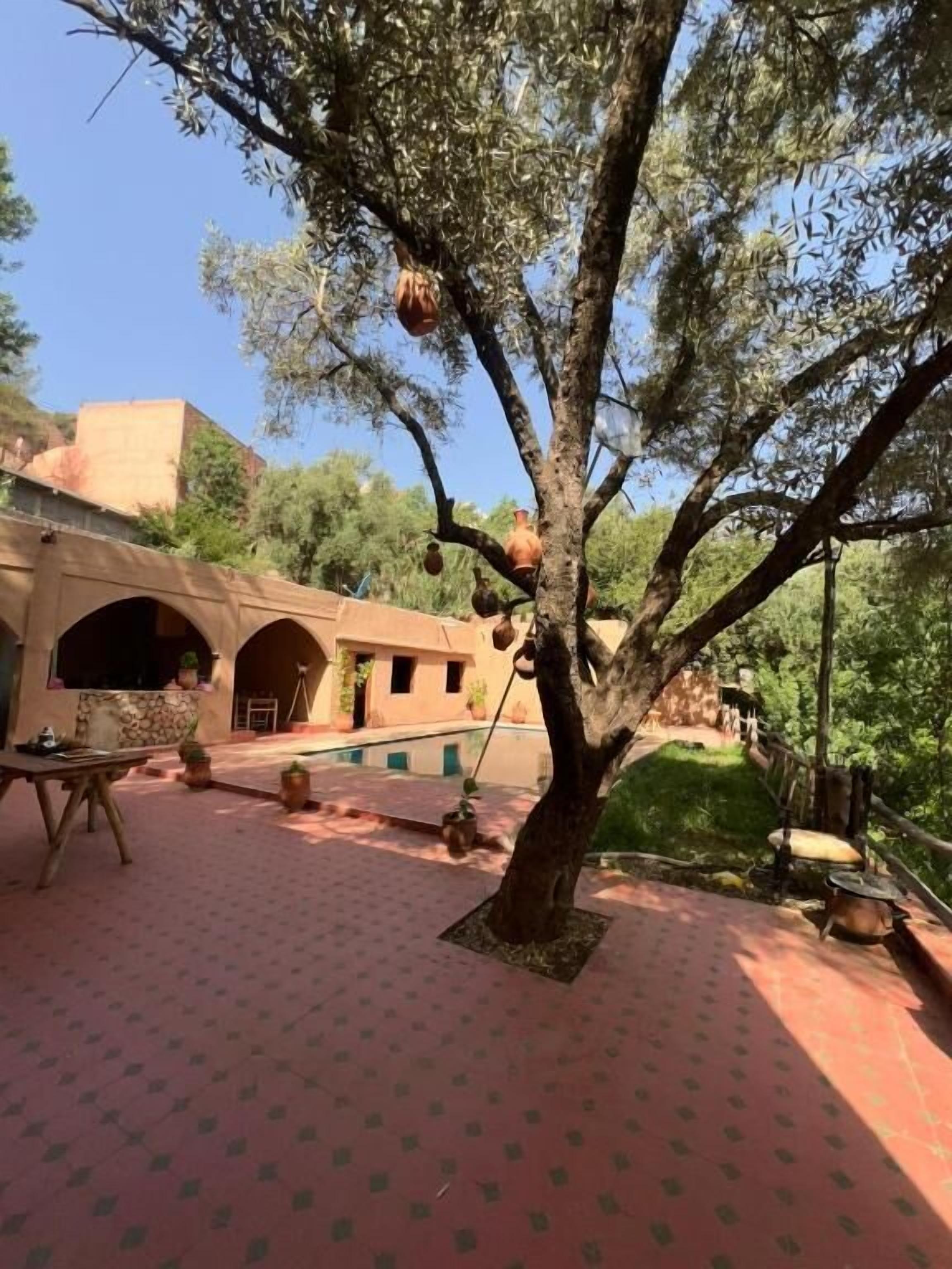 รับประทานอาหารกลางแจ้ง