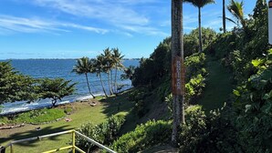 Un sentier qui mène à une plage bordée de palmiers, sous un ciel bleu et dégagé.