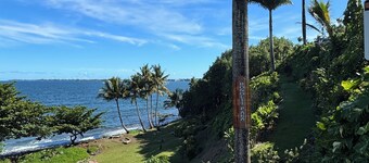 Bright & Breezy Central Hilo Oasis