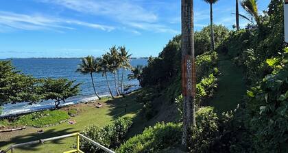 Bright & Breezy Central Hilo Oasis