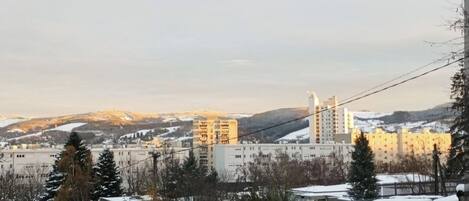A view of a residential area with snow-covered houses and a large building in the background.