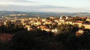 Un paisaje urbano con un denso conjunto de edificios, rodeado de vegetación y colinas al fondo.