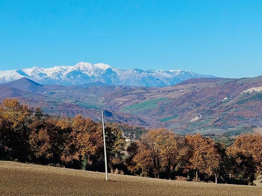 Esterni