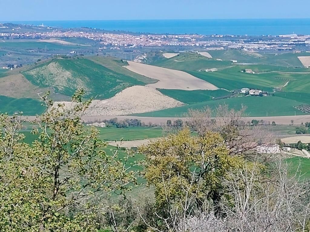 A panoramic view of a coastal landscape with rolling hills, a distant town, and a clear sky.