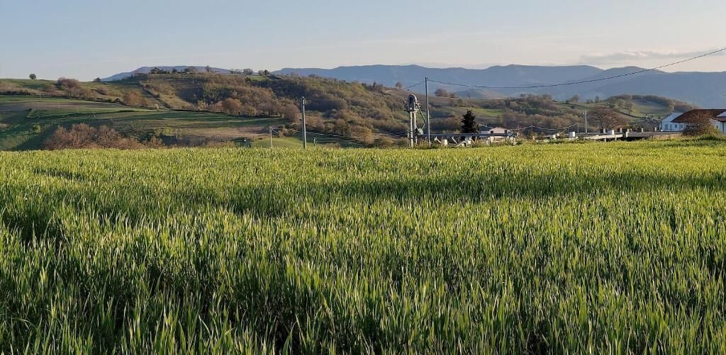 A rural landscape with a field of crops, a small house, and rolling hills in the background.