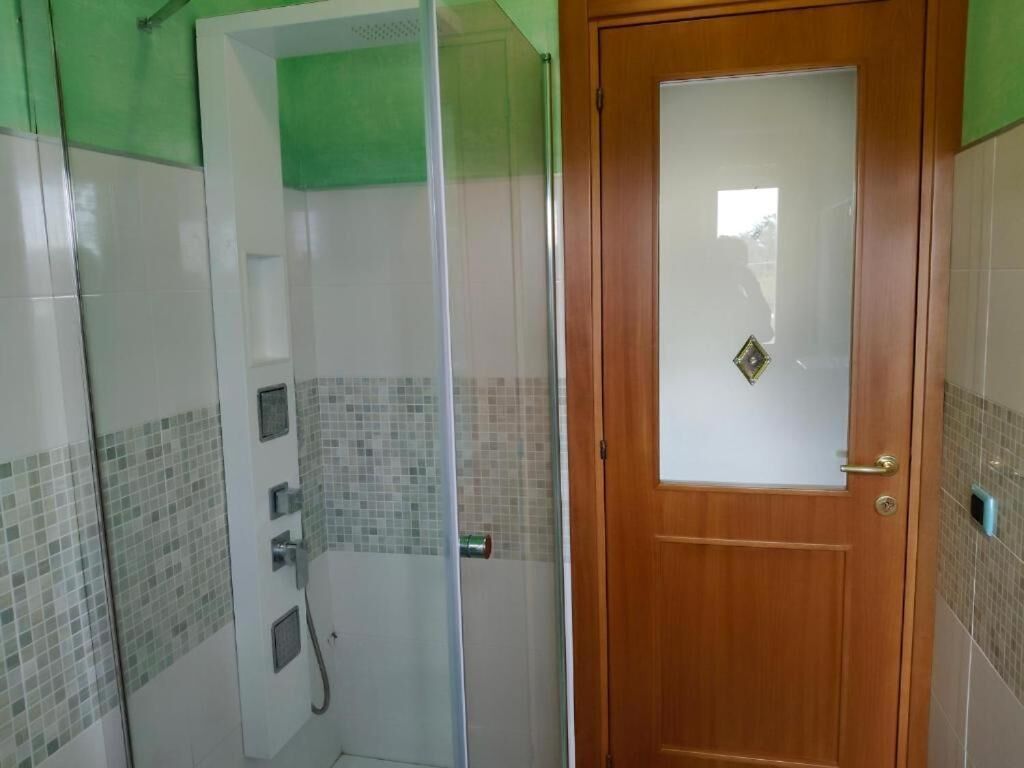 A bathroom with a glass-enclosed shower, a wooden door with a glass panel, and tiled walls.