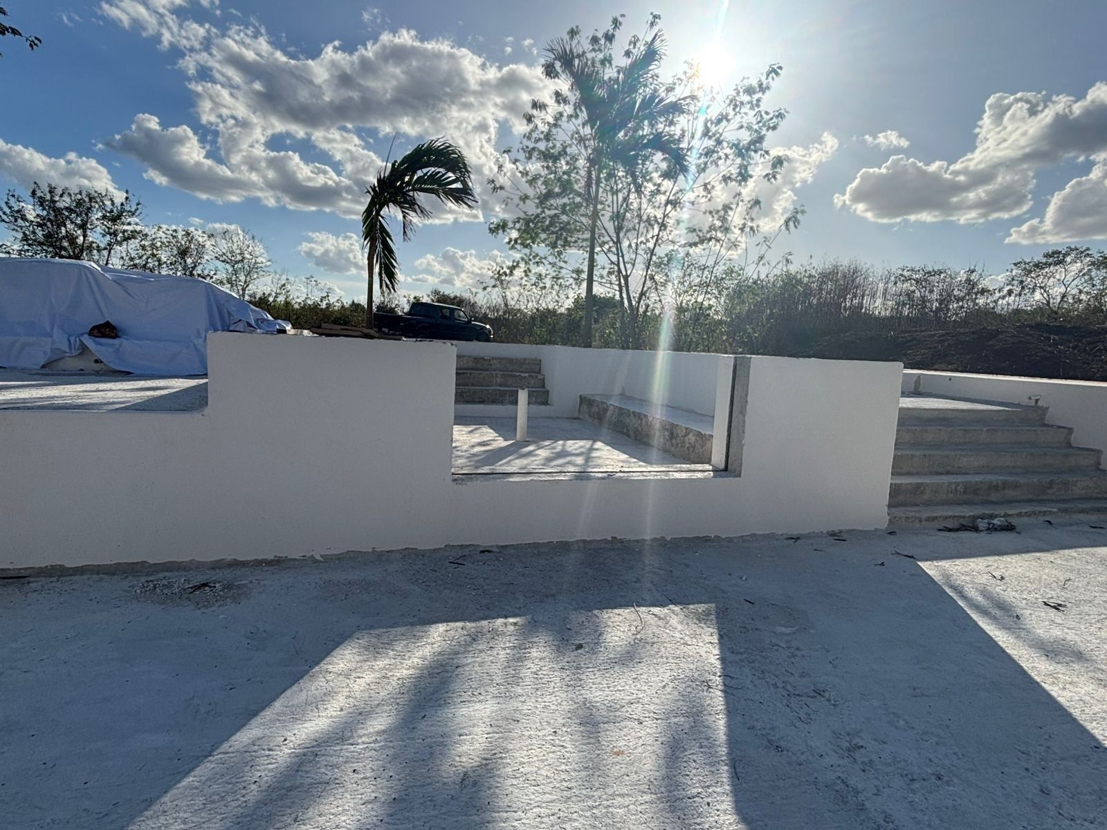 A rooftop terrace with a white wall, a concrete staircase, and a palm tree.