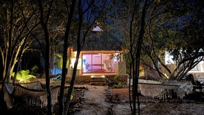 Een gezellig, goed verlicht vakantiehuis met rieten dak, omringd door bomen en een pad van stenen dat naar de ingang leidt.