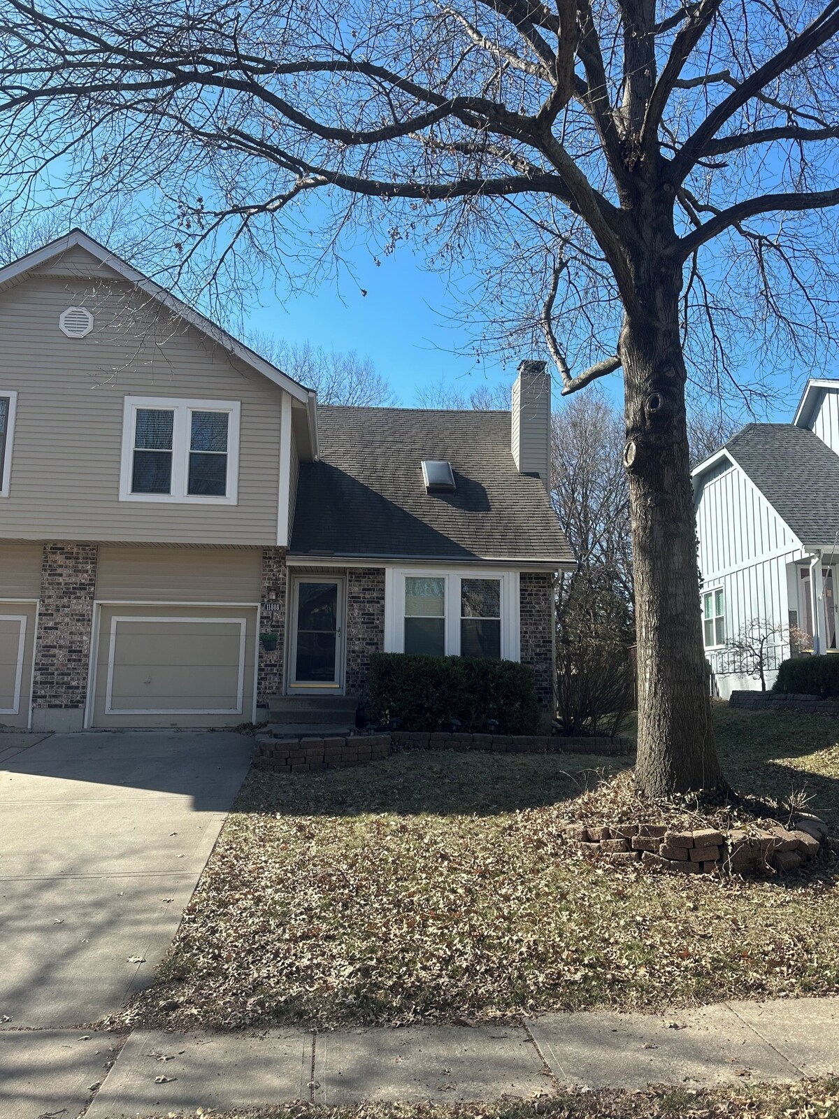 Imagen de perfil del propietario o de la propietaria