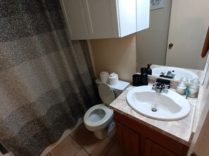 Towels, soap, toilet paper - 3-bedroom house in serene Hot Springs with cool AC (Hot Springs)