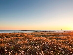 A beach with a wooden pier extending into the water, surrounded by grassy dunes. - Charming apartment - 4 guests, near forest (47 units) (Saint-Jean-de-Monts)