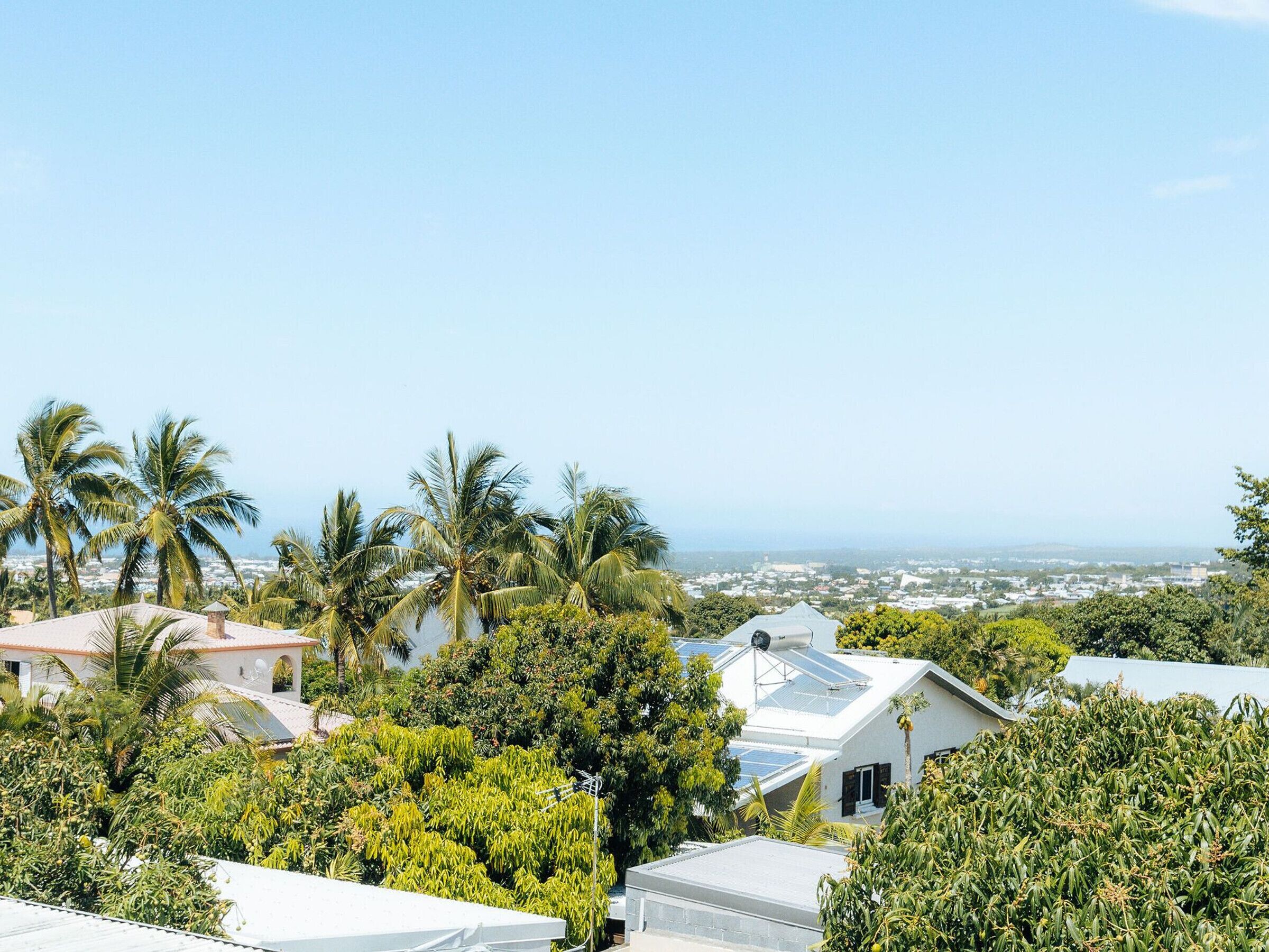 Zona residencial con casas rodeadas de exuberante vegetación y palmeras, con vista a un horizonte urbano lejano.