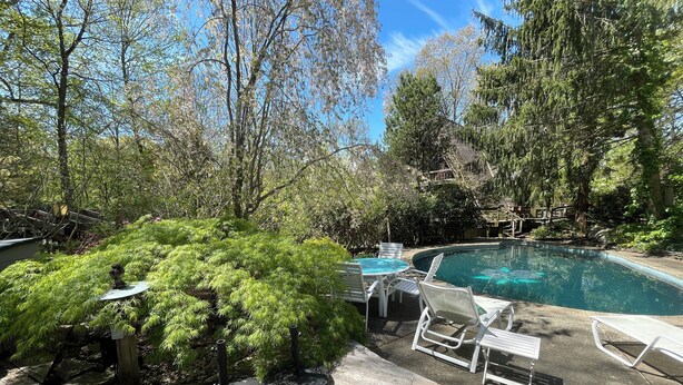 Una terraza de madera con piscina, rodeada de abundante vegetación y árboles.