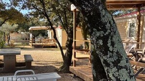 Espace extérieur aménagé avec des tables et des chaises, un espace couvert et un arbre recouvert de lichens.