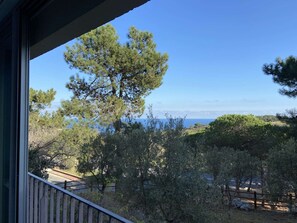 A balcony with a view of pine trees and a distant coastline. - Cozy apartment - 4 guests (Banyuls-sur-Mer)