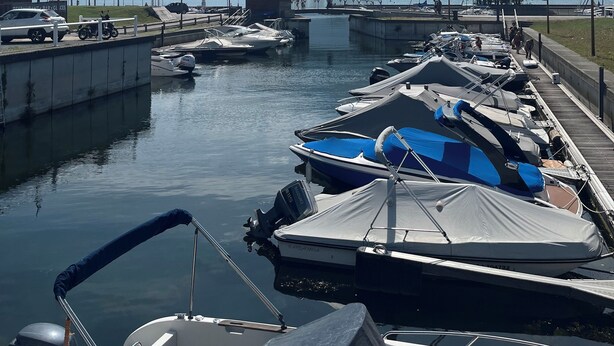 Una marina con barcos amarrados, un puente y montañas al fondo.