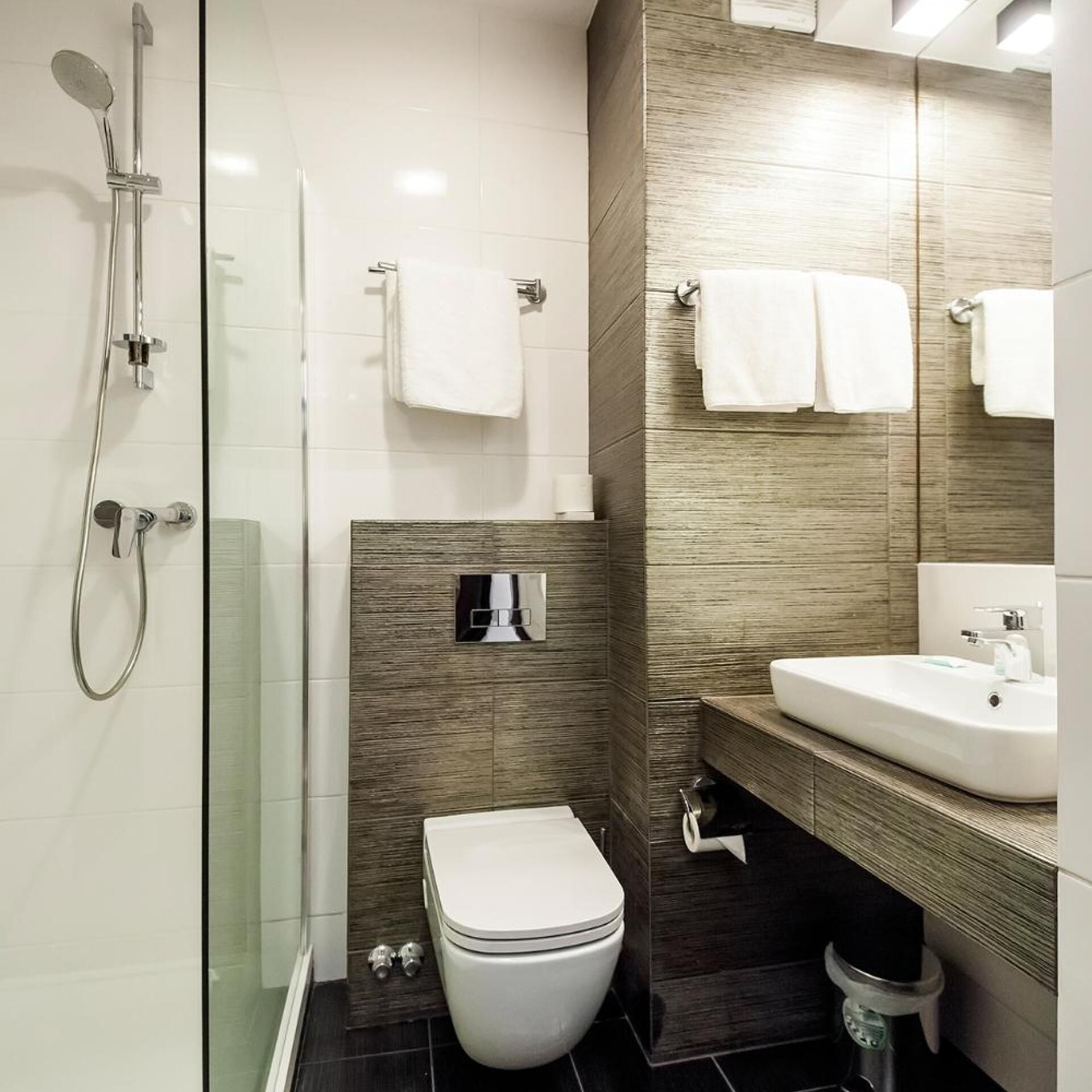 A modern bathroom with a glass shower enclosure, a toilet, a sink, and a mirror.
