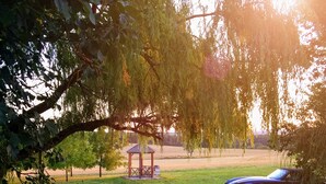 A gazebo in a park with a car parked nearby.