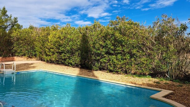Piscina azul cristalina rodeada de follaje exuberante y un cielo despejado.