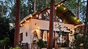 A rustic cabin with a sloped roof, surrounded by tall trees and a well-maintained garden. - LAS AVES (Juayua)