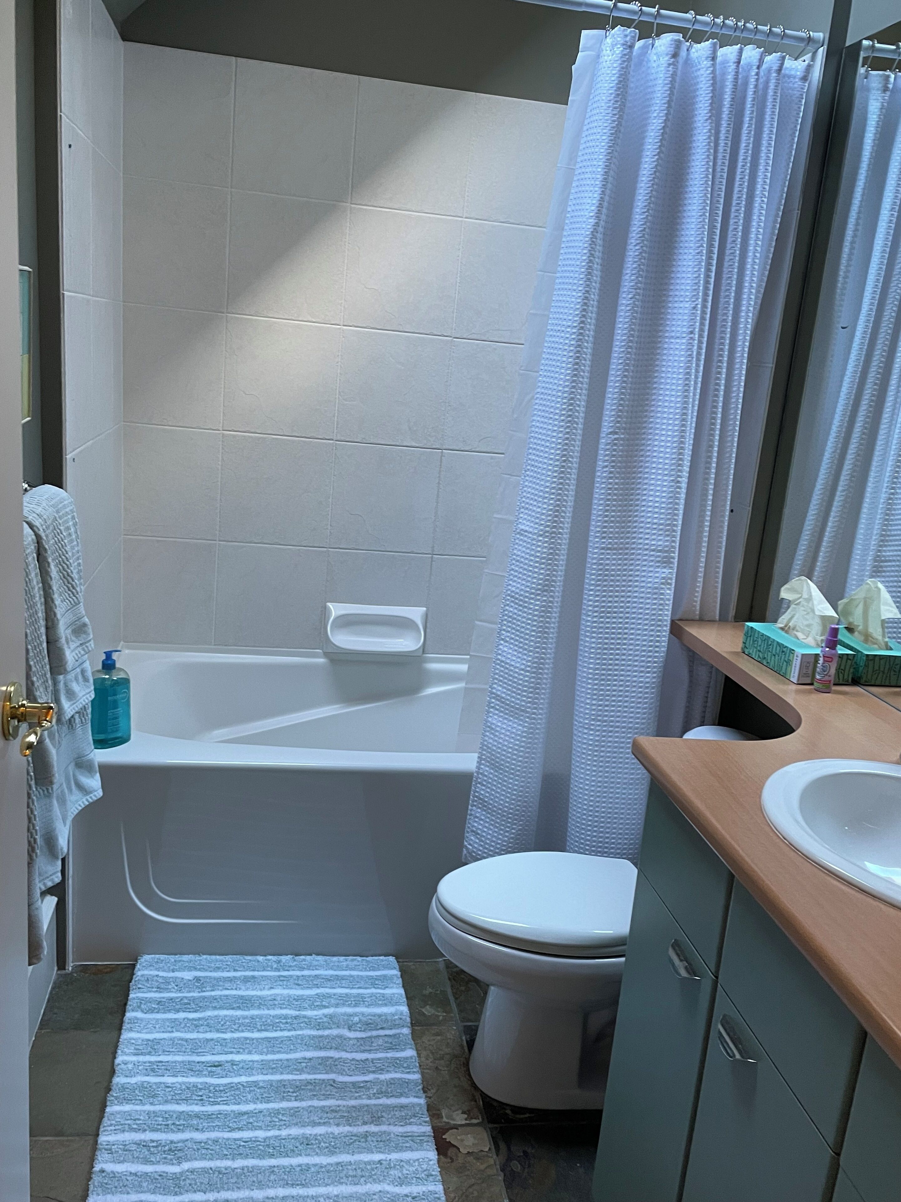 Hair dryer, towels, soap, toilet paper