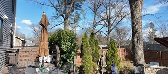 Spacious Knoxville Retreat, Sleeps 7, Fire Pit